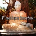 47 Tranquil Inspiring Harmony Sounds专辑