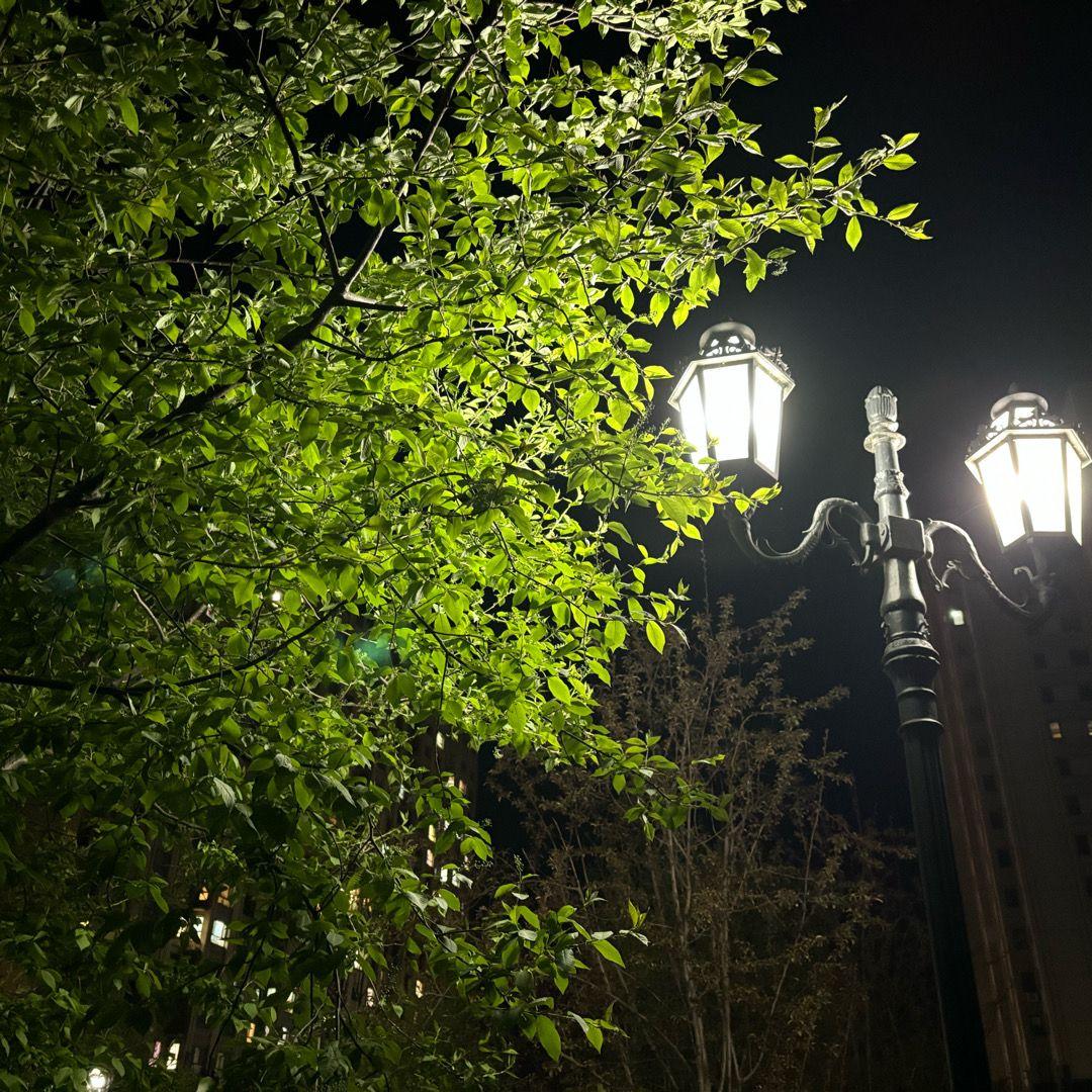 路灯
