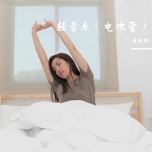 d 调电子琴红梅赞连奏2