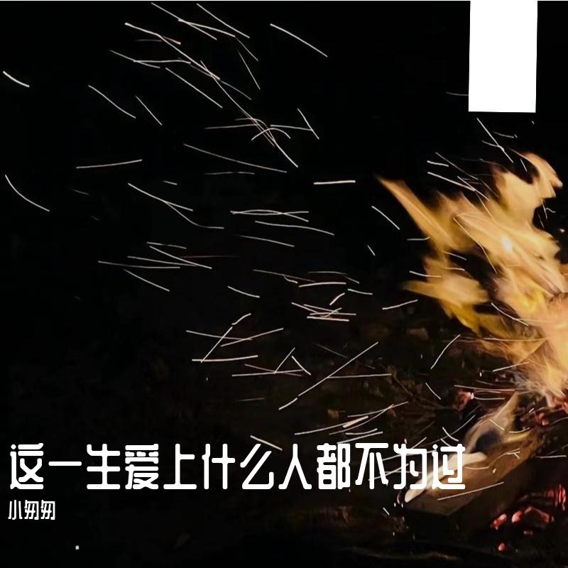 这一生爱上什么人都不为过