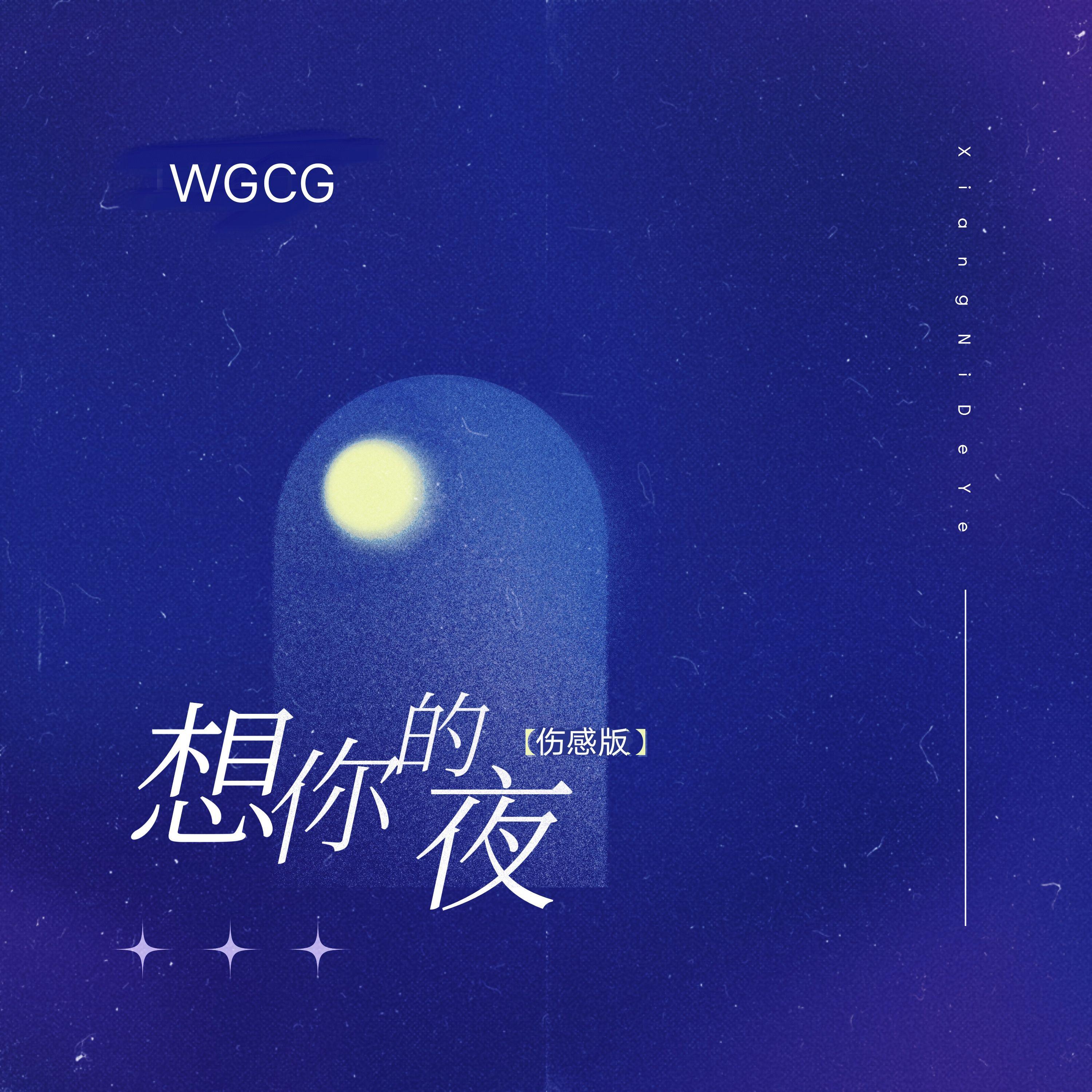 WGCG - 想你的夜（伤感版）