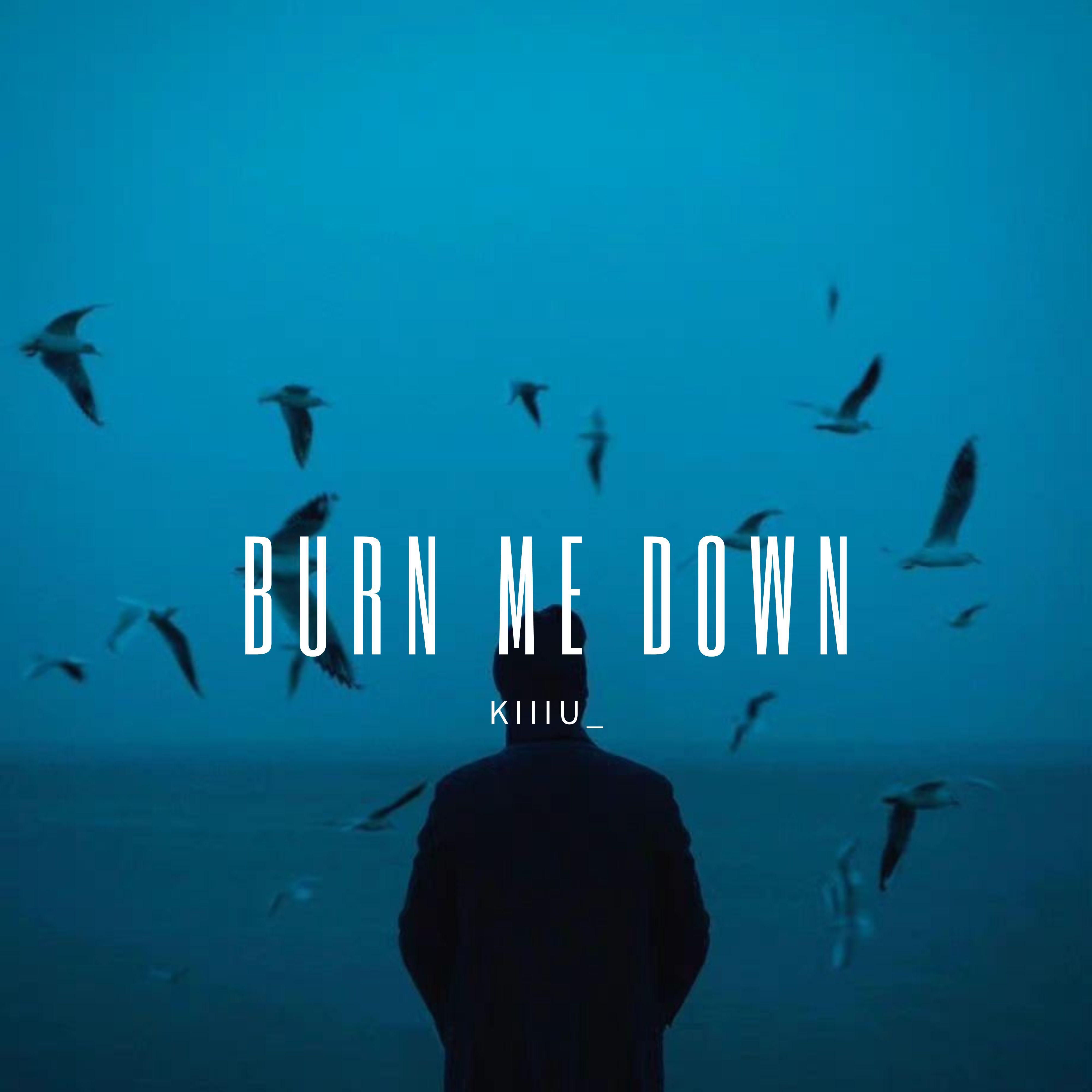 Burn Me Down