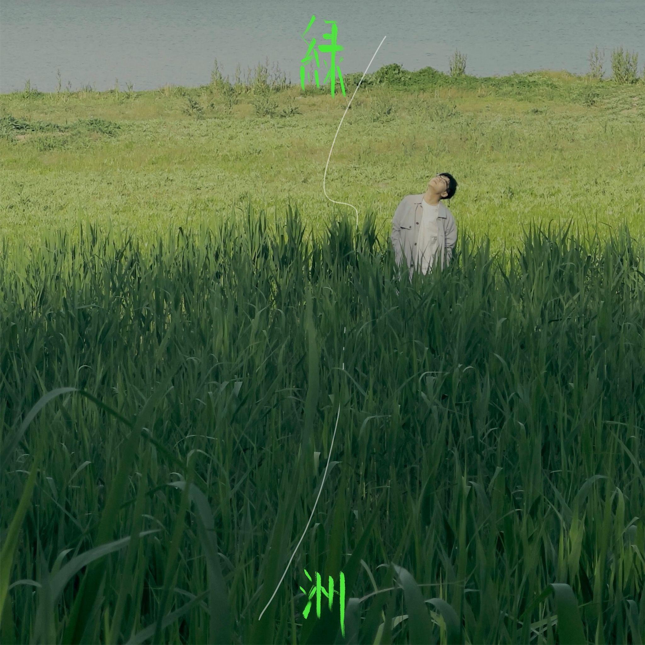 绿洲