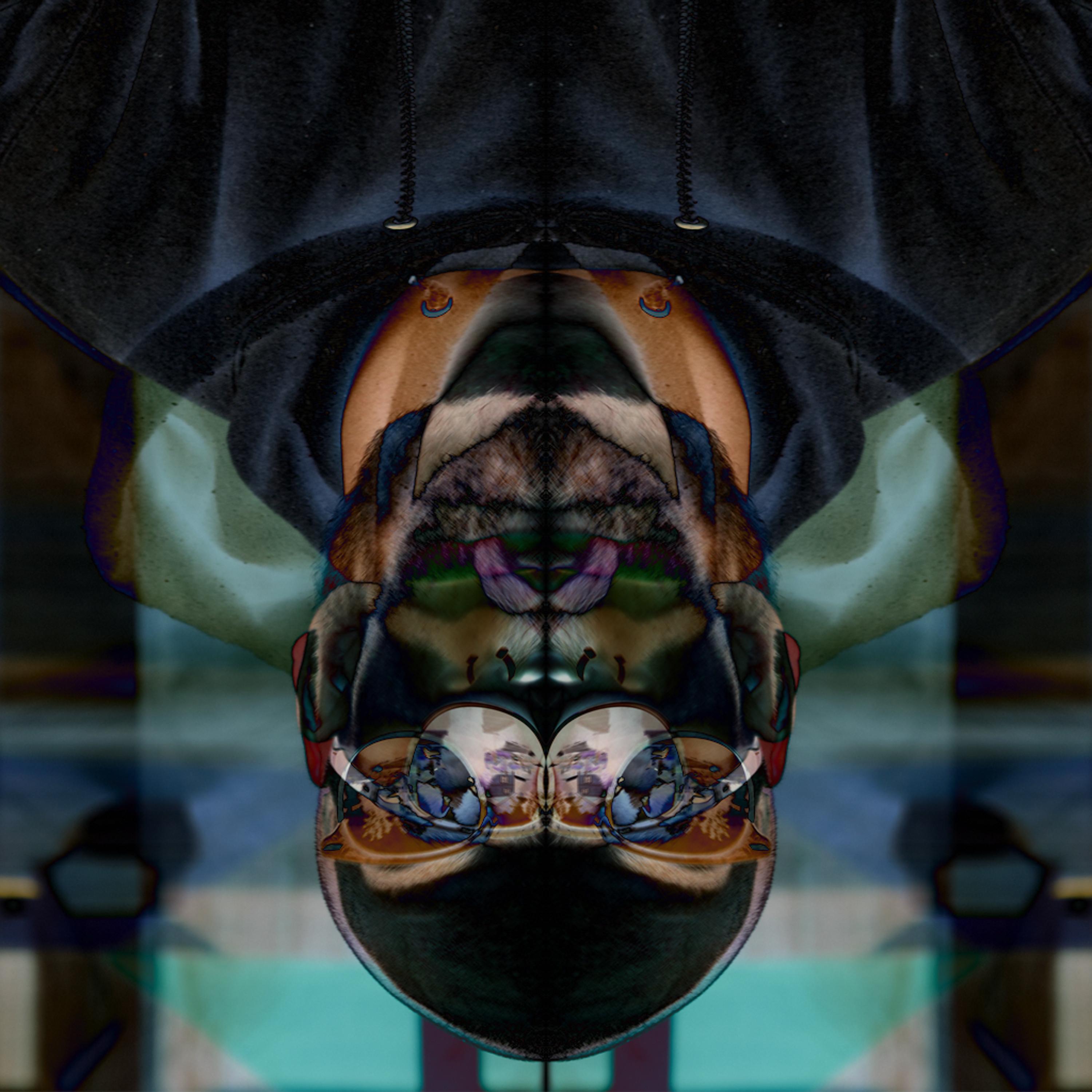 Mise en Abyme