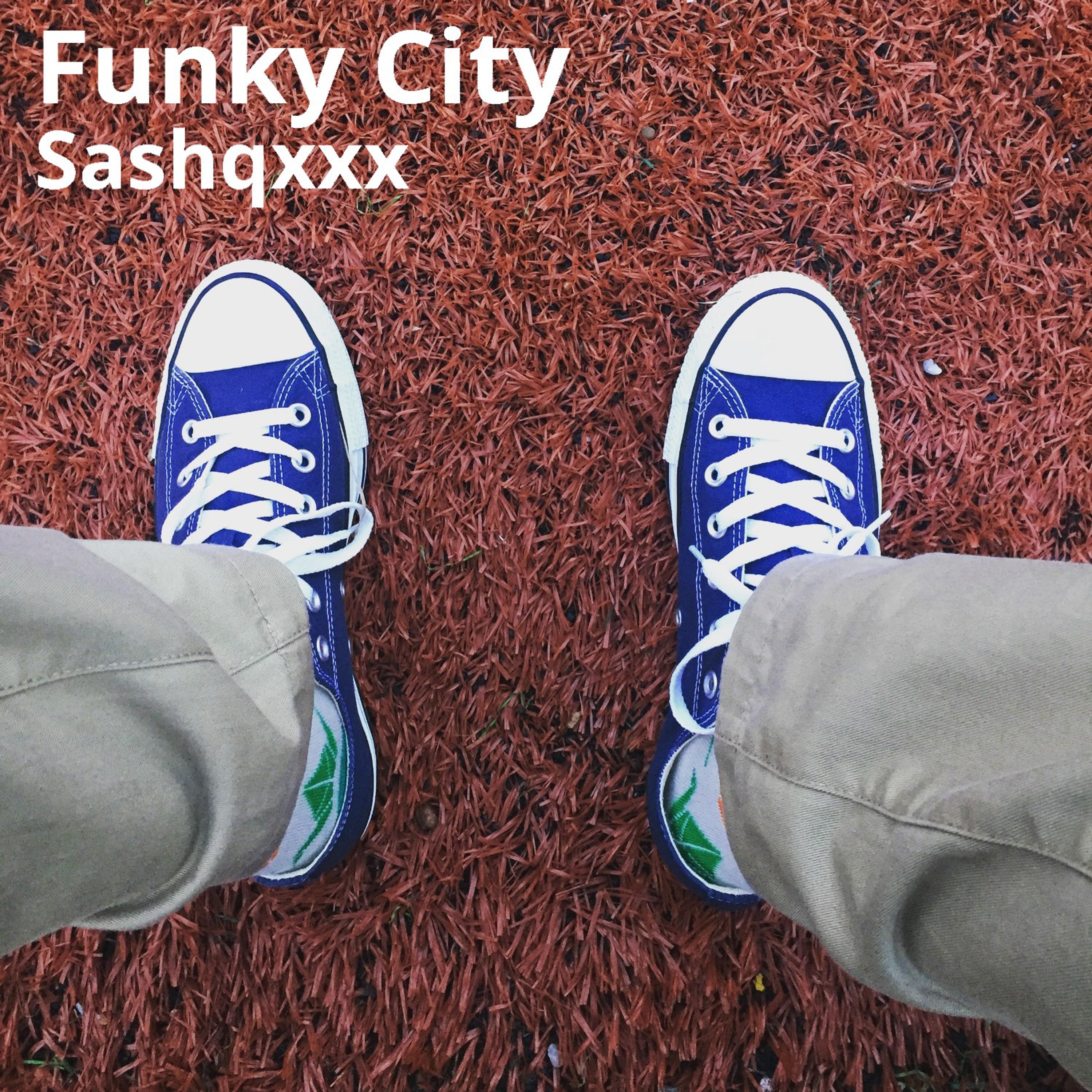 Sashqxxx - Funky City