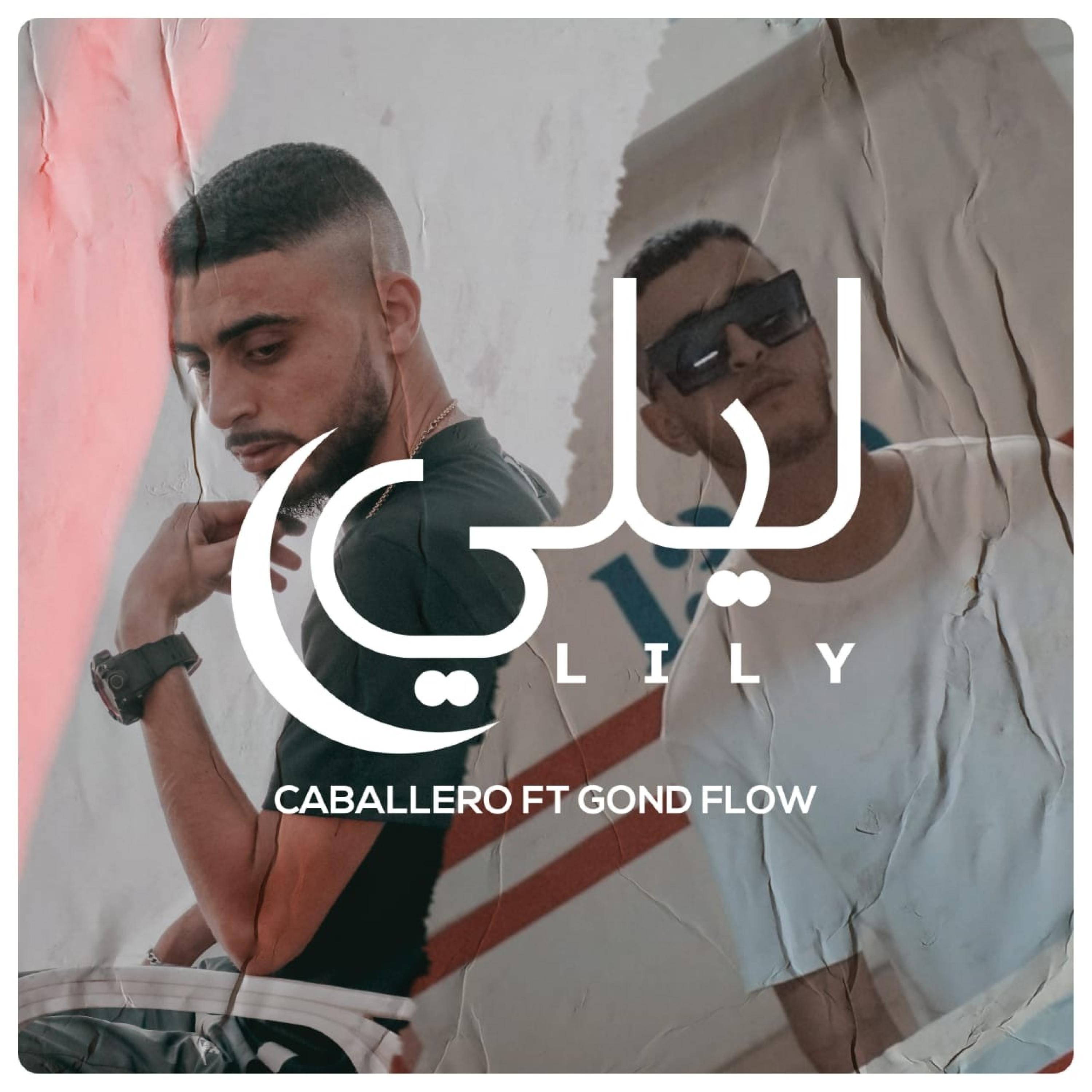 Lily (feat. Gond flow)