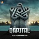 Qapital: Mixed By Frequencerz专辑