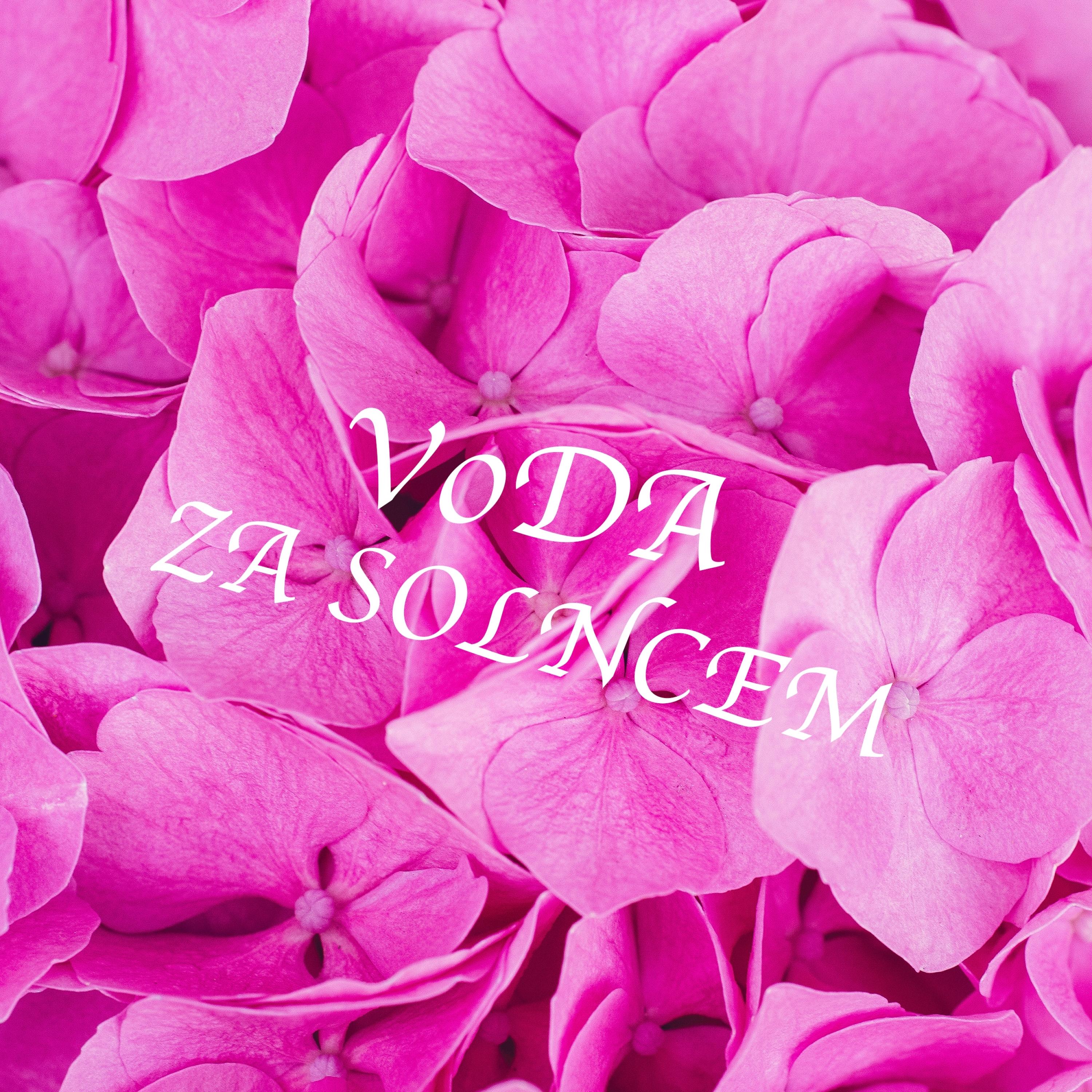 Za Solncem