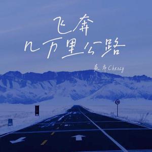 杨天宇 - 我绝不会输 （降4半音）