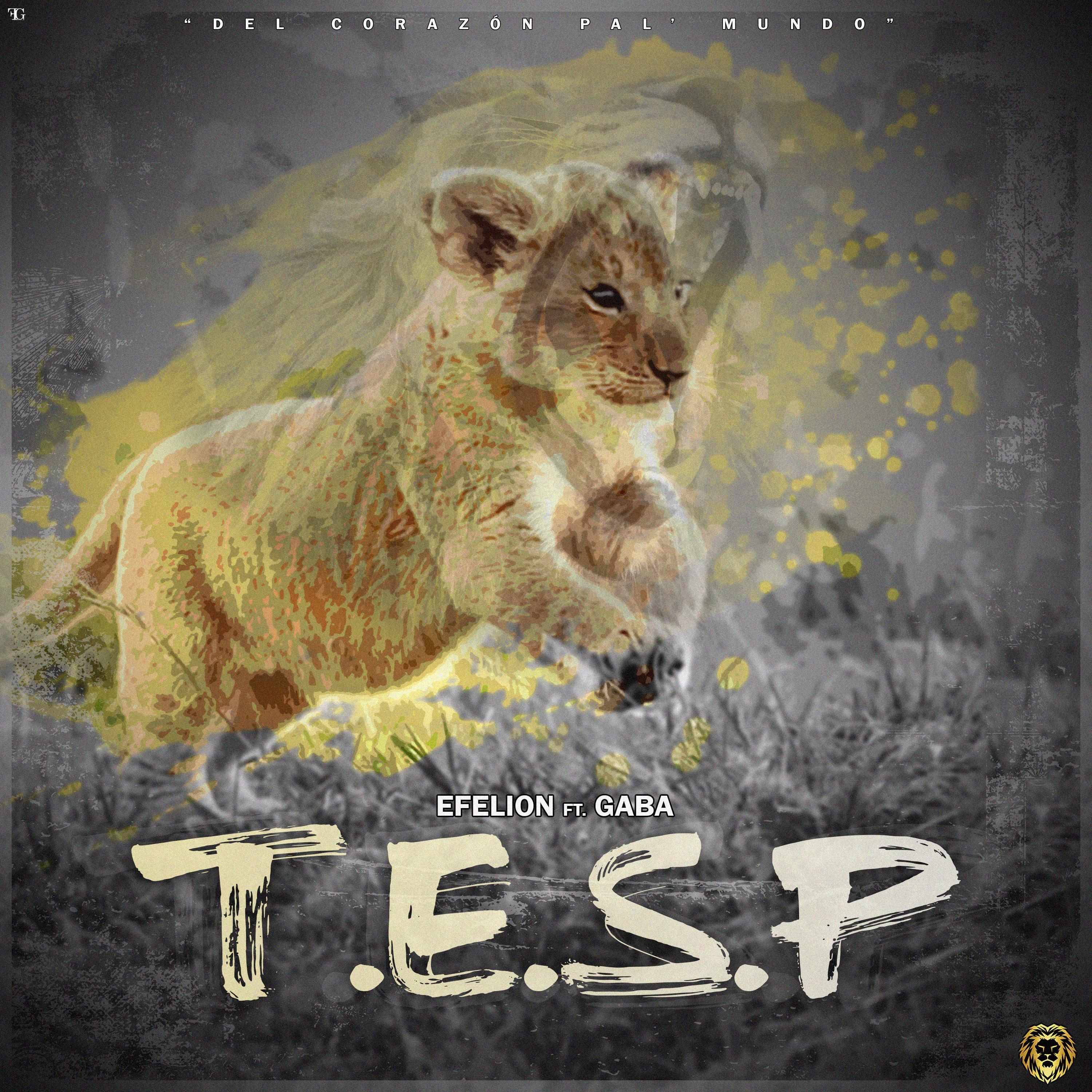 T.E.S.P (feat. Gaba)