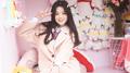 2019要快乐鸭专辑