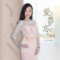 林艳 - 爱你想你忘记你(原版立体声伴奏)