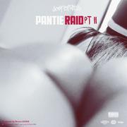 Pantie Raid Pt II