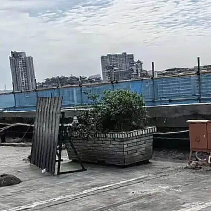 28年前失踪的女老板终于被找到：被谋杀后，埋尸商场天台花坛28年 20260420 episode artwork