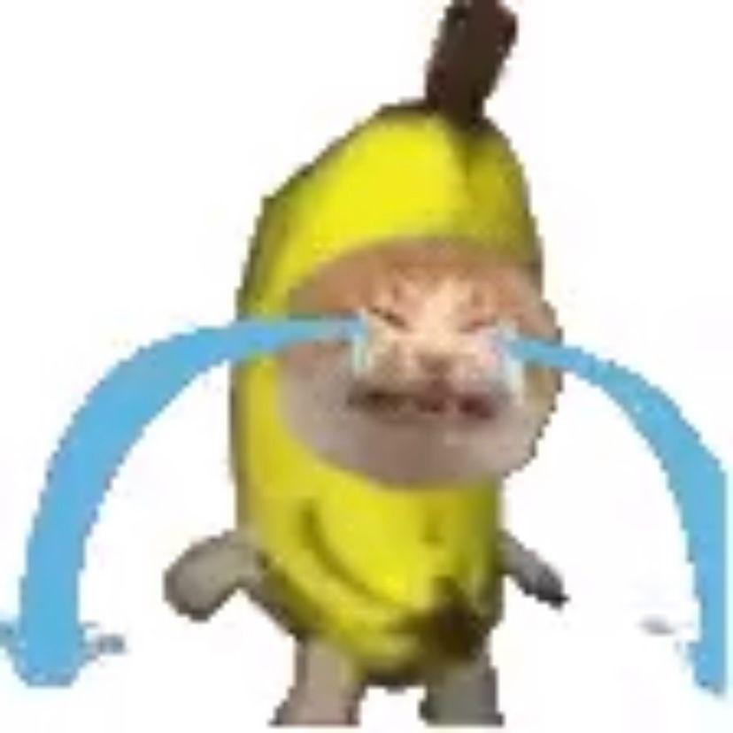 [FREE]"香蕉猫就知道哭"河南说唱之神TypeBeat