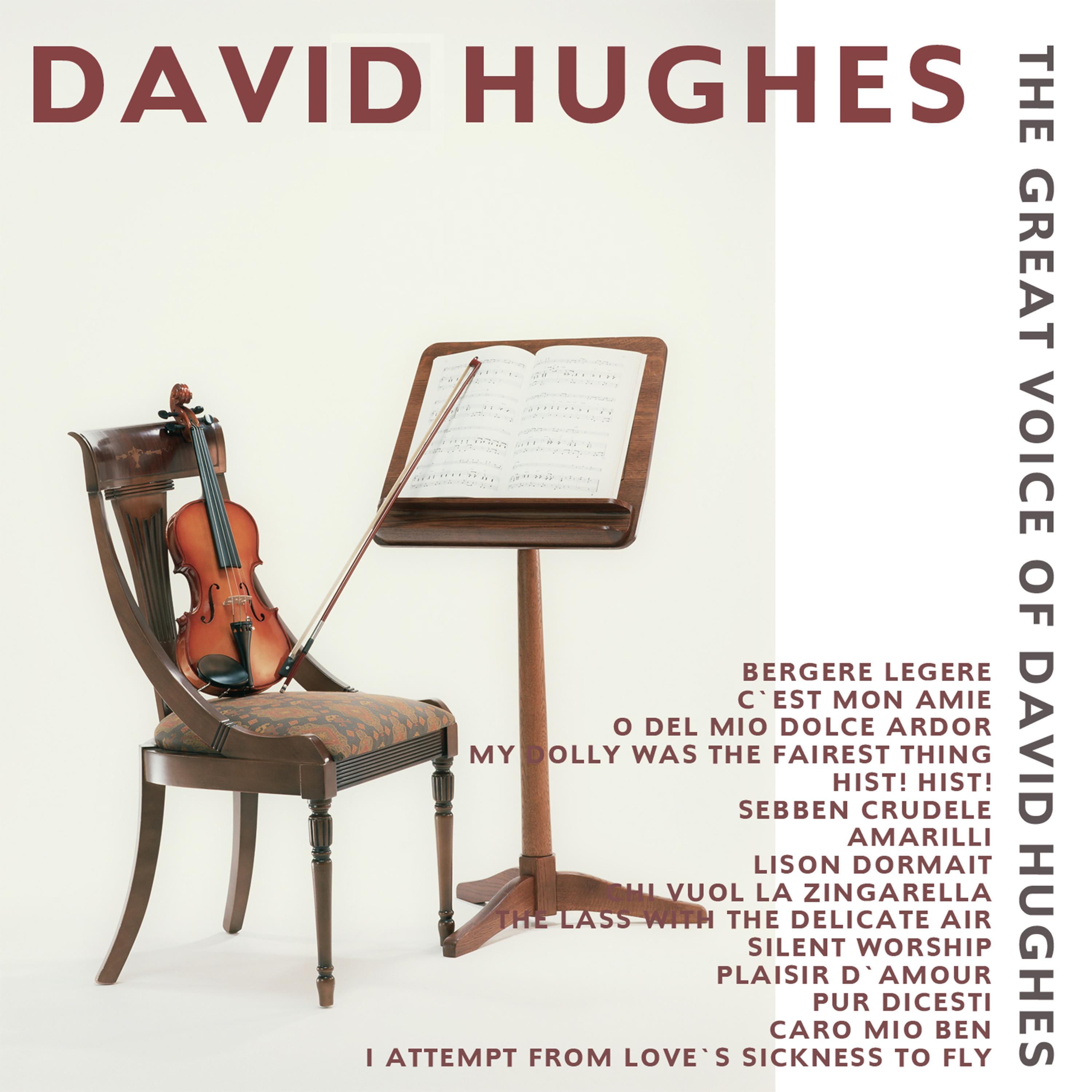 The Great Voice of David Hughes