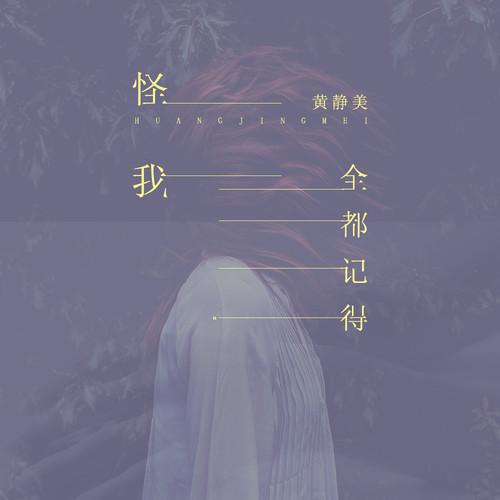 怪我全都记得