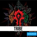 TRIBE专辑