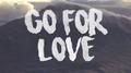 Go For Love (Hargulf Remix)专辑