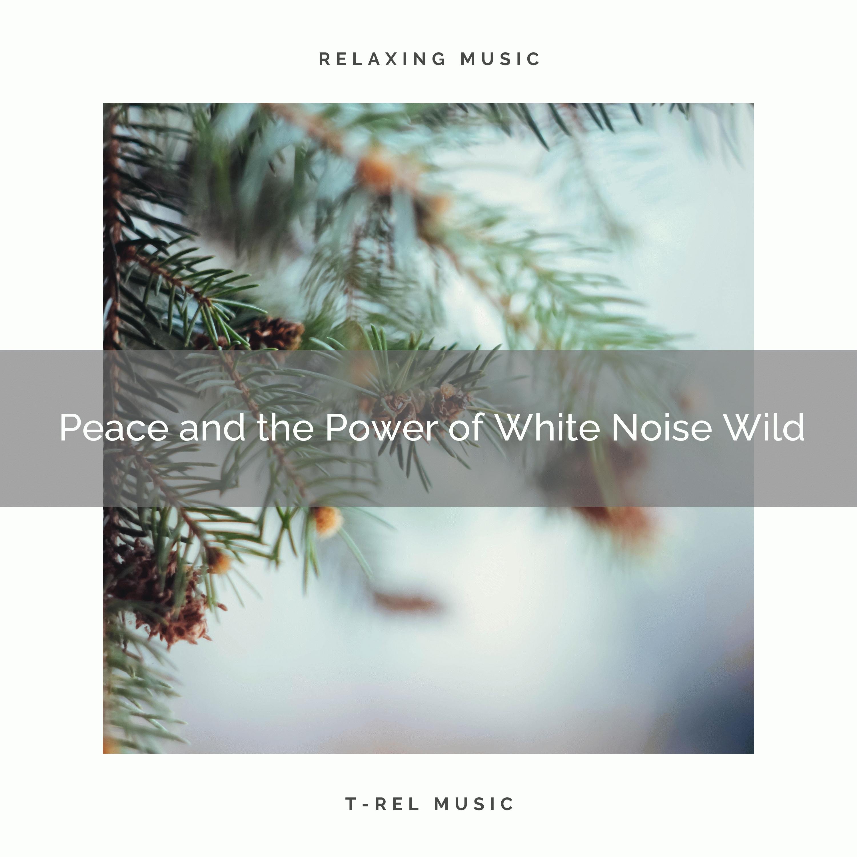 0001 Peace and the Power of White Noise Wild