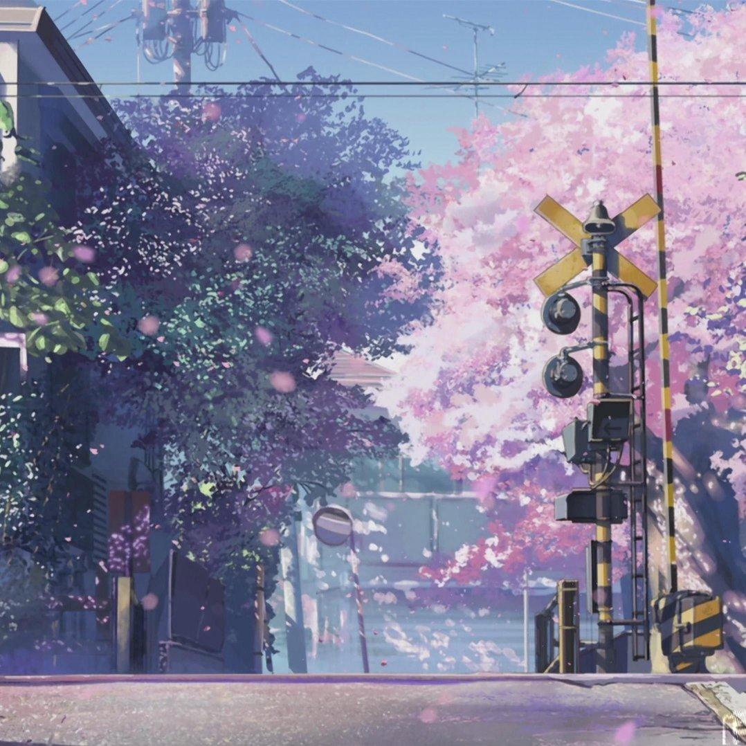 纯音乐|放松 看书 睡觉