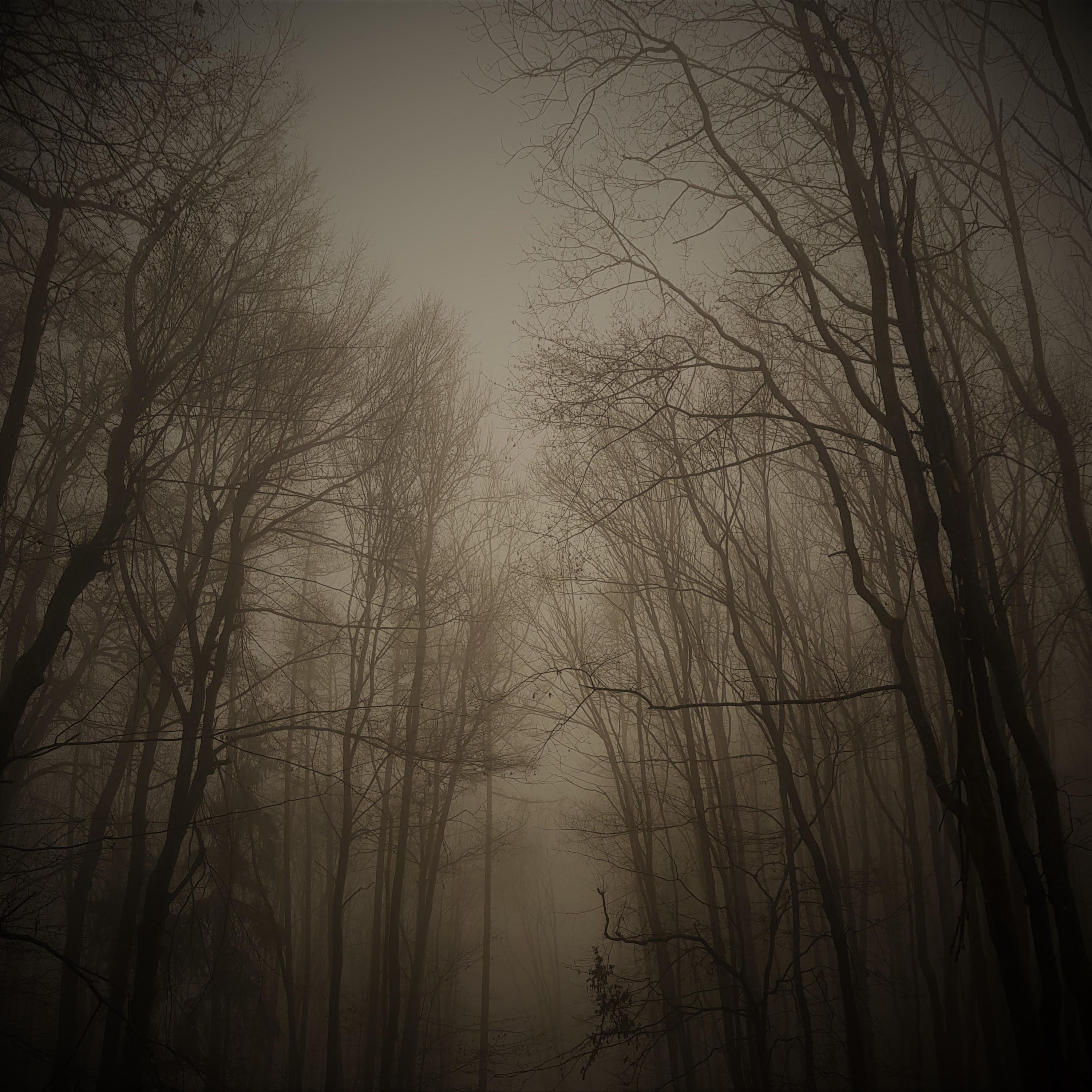 In Between Nights