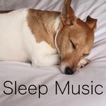Sleep Music专辑