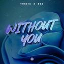 Without You