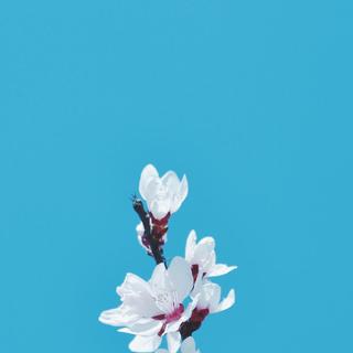 民谣都带点文艺范,歌里有理想有故事有妹子