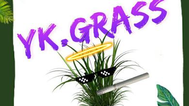 YK.GRASS