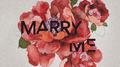 MARRY ME(Prod.Jhythm 5)专辑