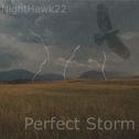 Perfect Storm专辑