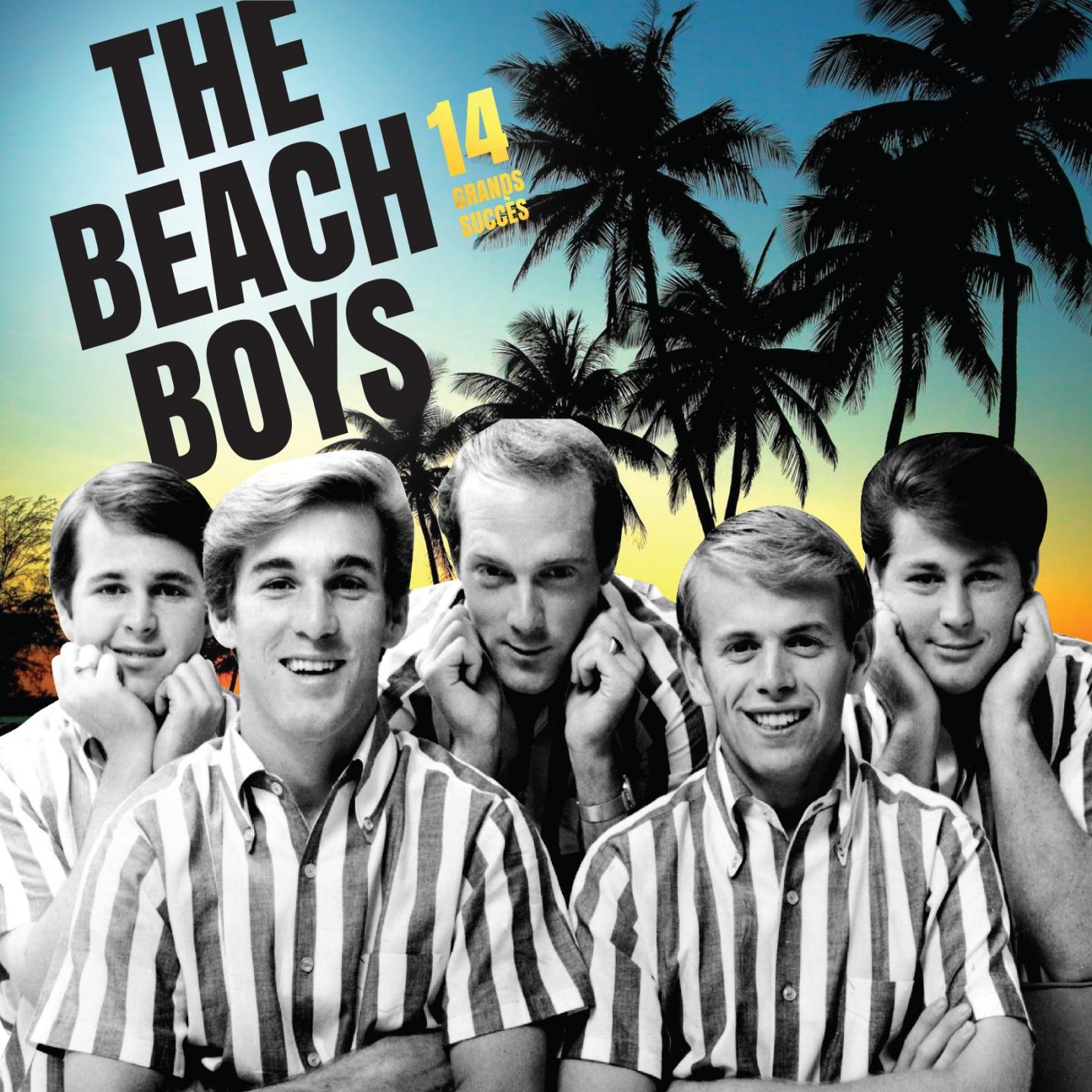 Boys мп3. Группа the Beach boys. The Beach boys фото. The Beach boys 1965. Группа the Beach boys 2022.