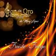 Fuiste Fuego