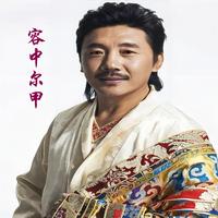 阿兰 - 天籁之爱 (Live)高音质 和声伴奏