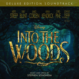 Your Fault - Into The Woods (Ist Instrumental) 无和声伴奏