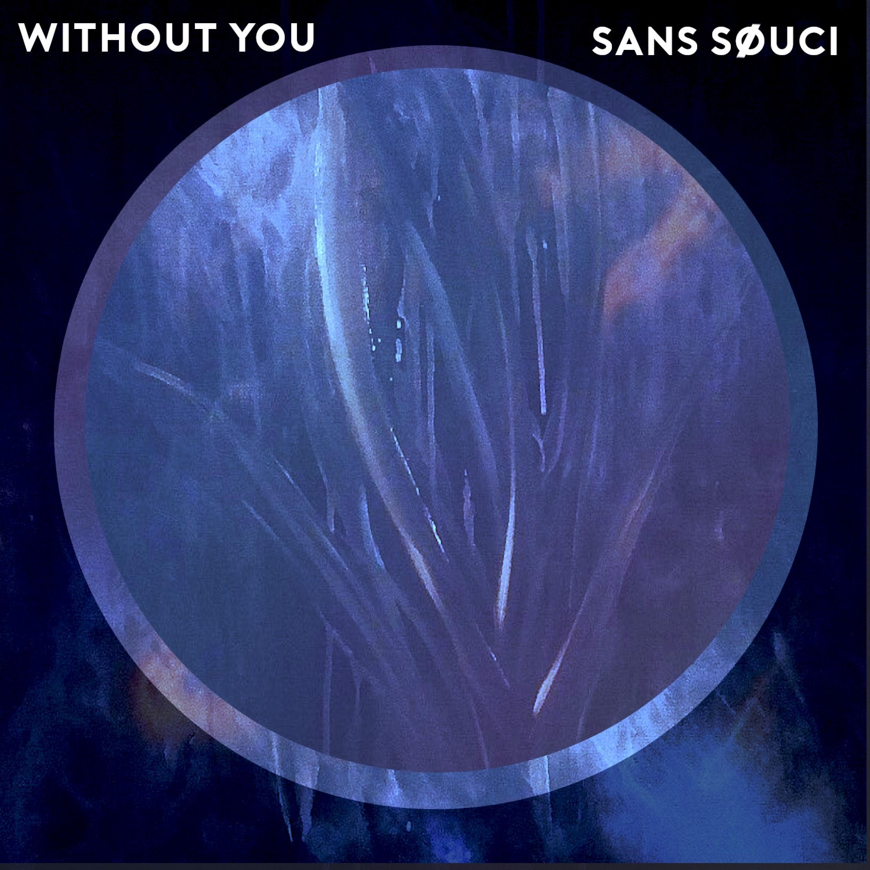 Without You