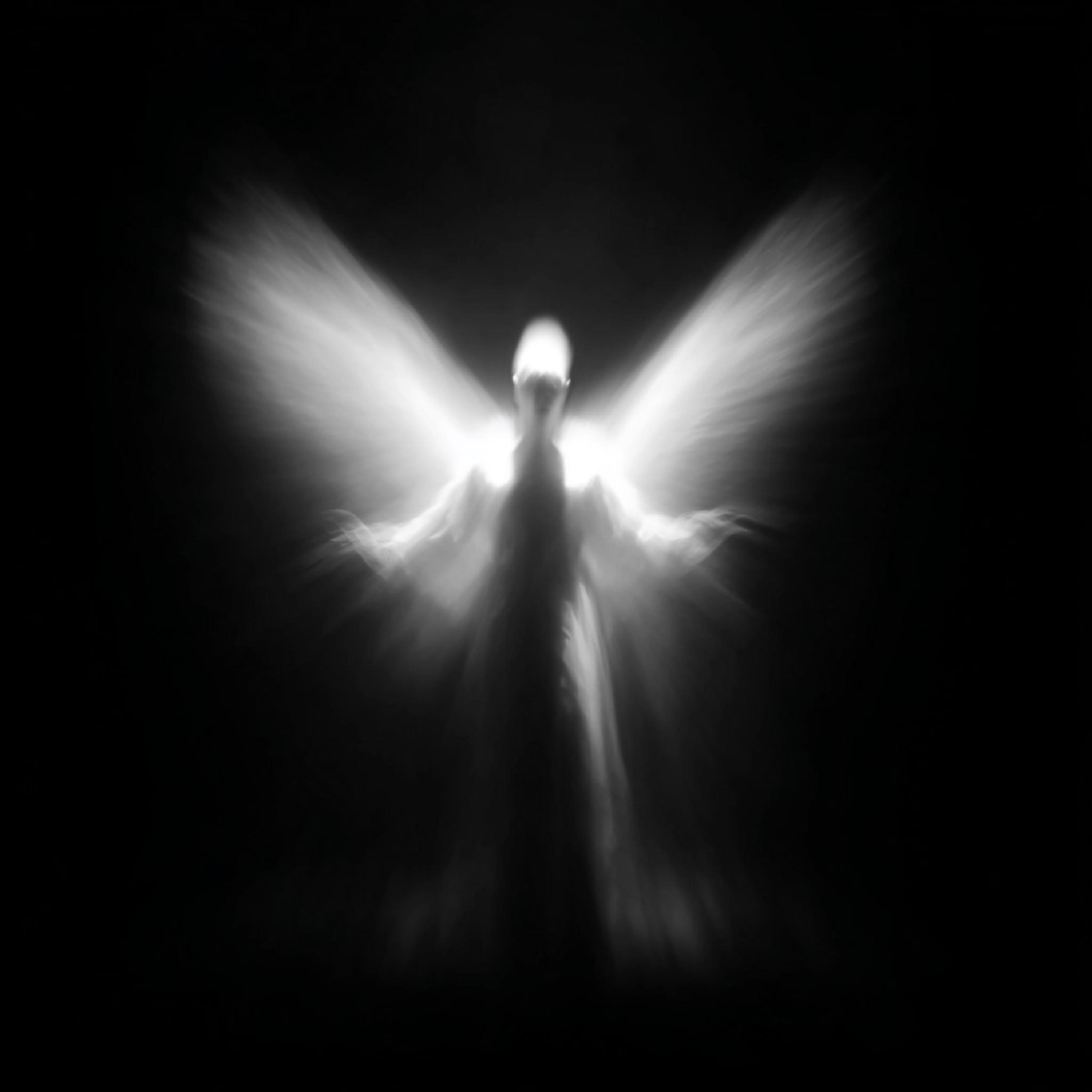 evolve (Ultra Slowed)