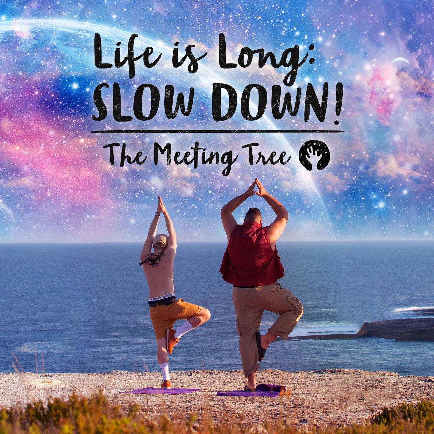 The Meeting Tree - Life is Long: Slow Down!