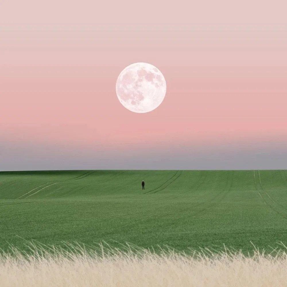 Dancing With Your Ghost（0.8x）