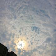 因为爱情「黄其淋（林墨）」