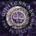 The Purple Album (Deluxe Edition)专辑
