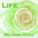 Life - Relaxing Piano Music专辑