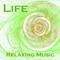 Life - Relaxing Piano Music专辑