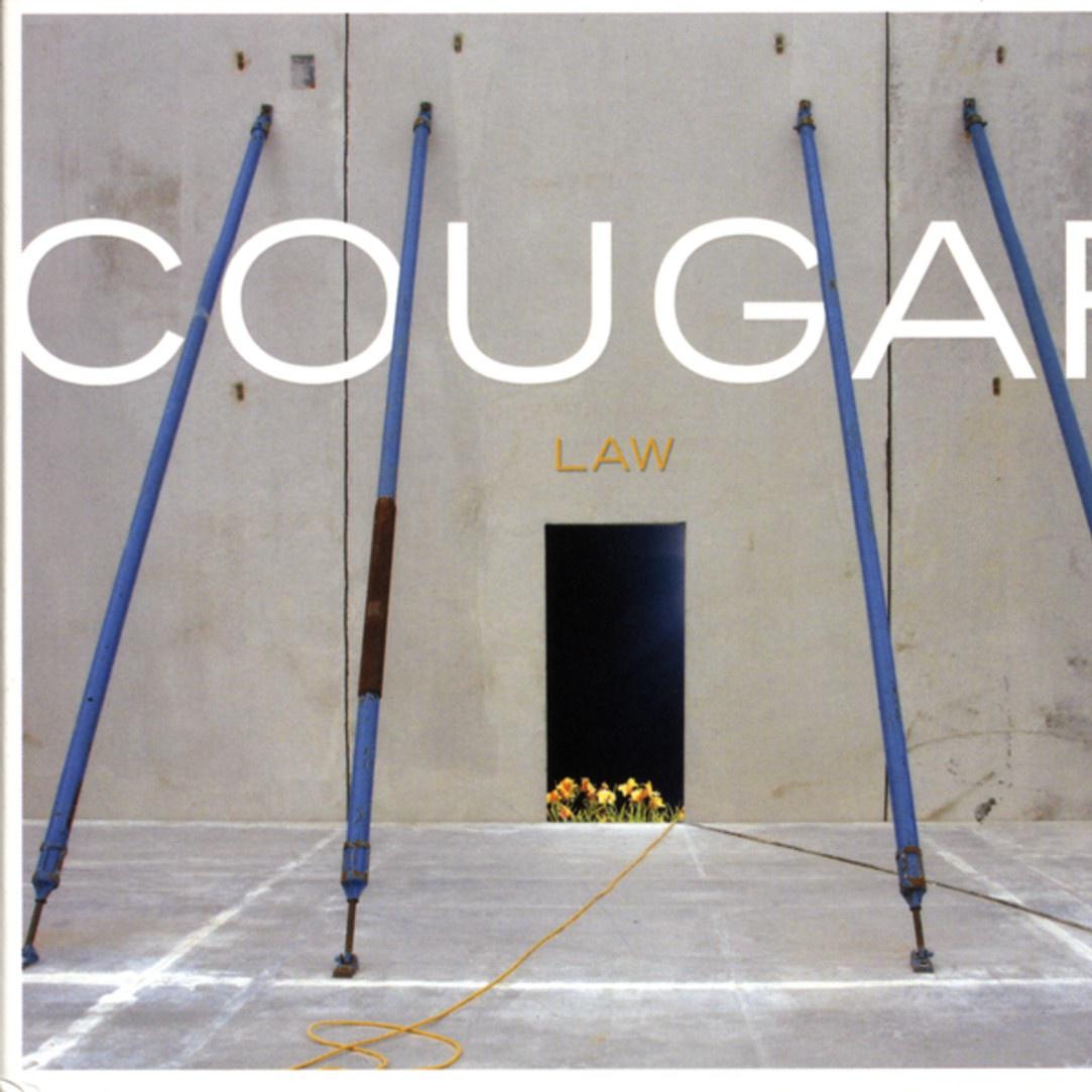 Cougar - Black Dove