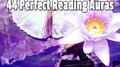 44 Perfect Reading Auras专辑