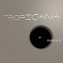 Tropicana专辑