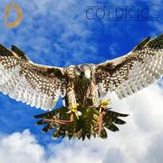 Falcon