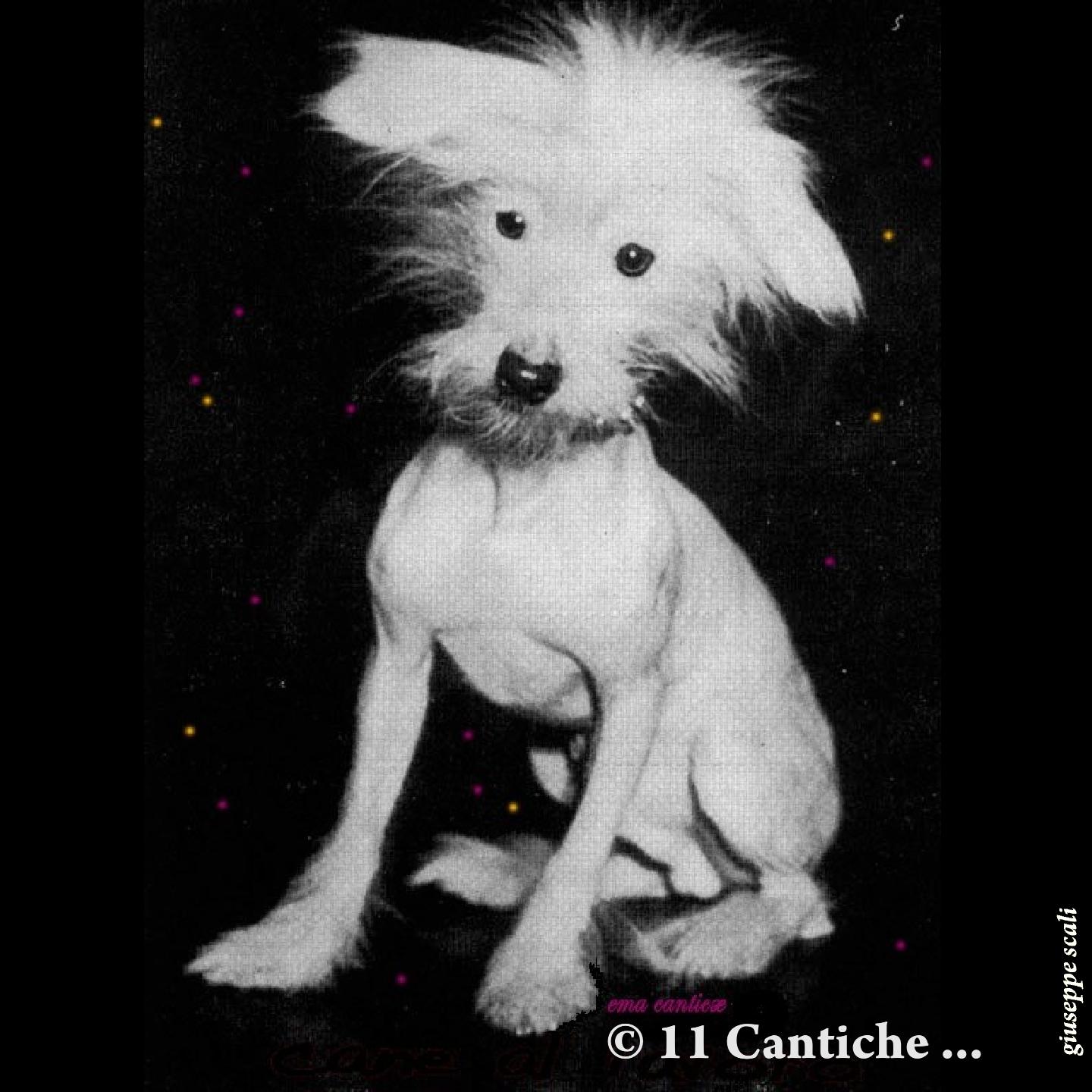 19960116 11© Cantiche...