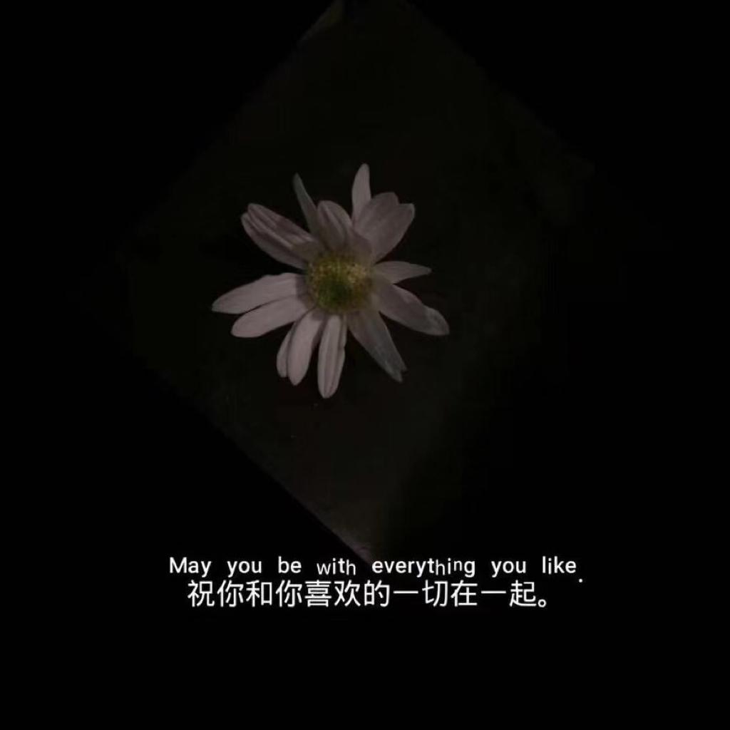 漂泊幻象中的灵魂